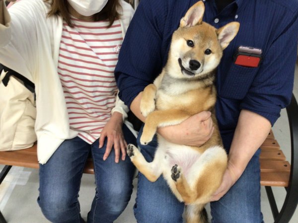写真