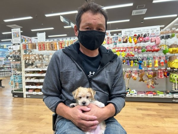 写真