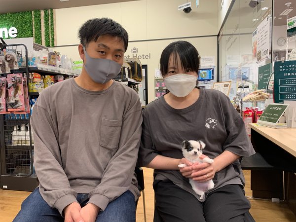 写真