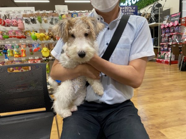 写真