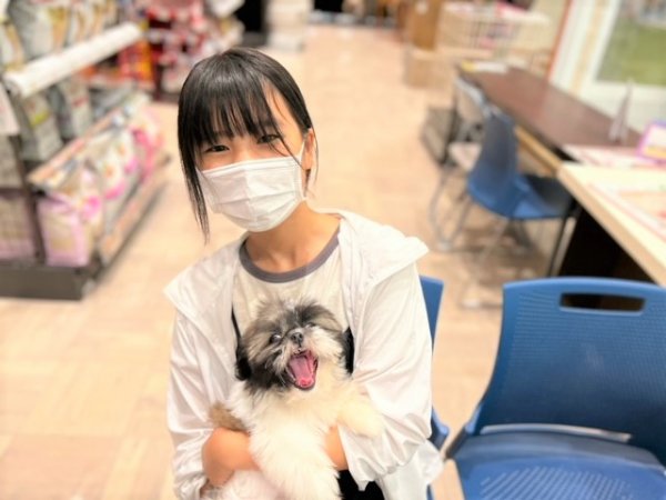 写真