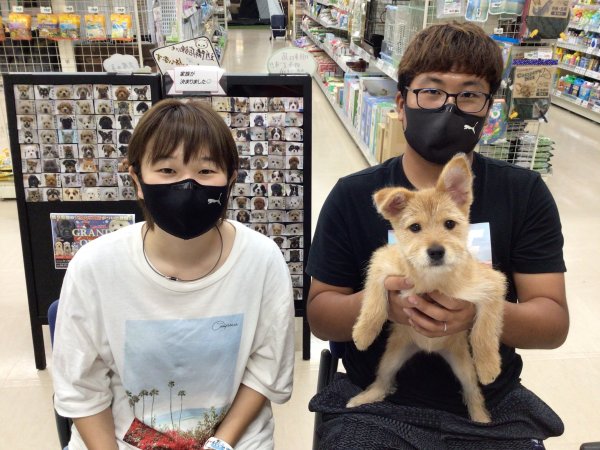 写真
