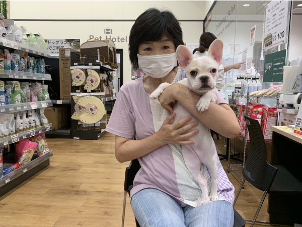 写真