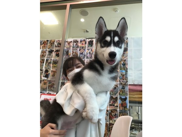 写真