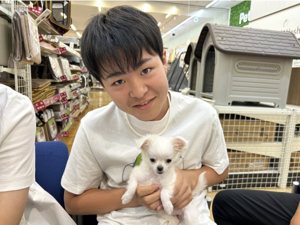 写真