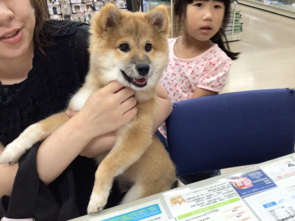 写真