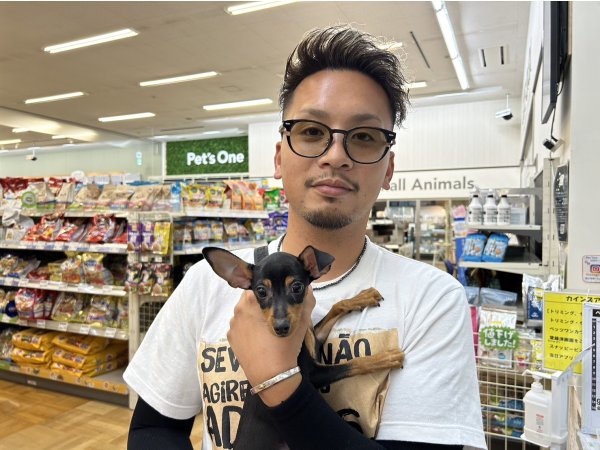 写真