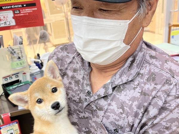 写真