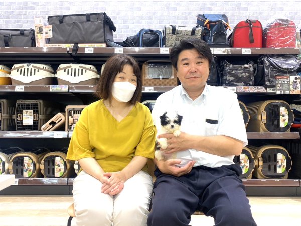 写真