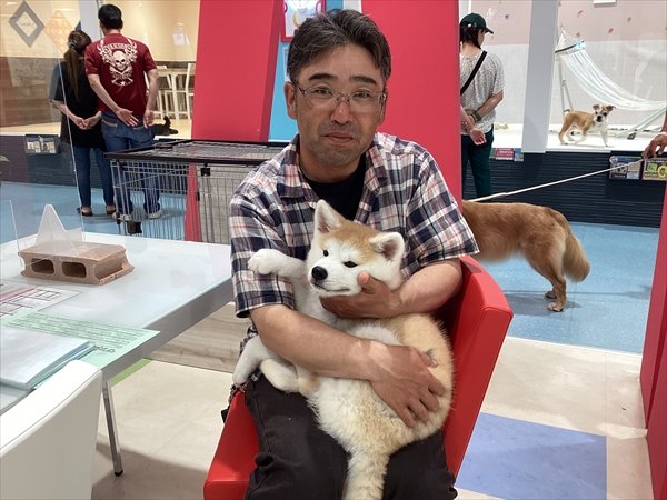 写真