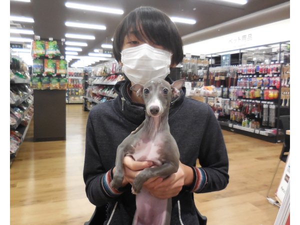 写真