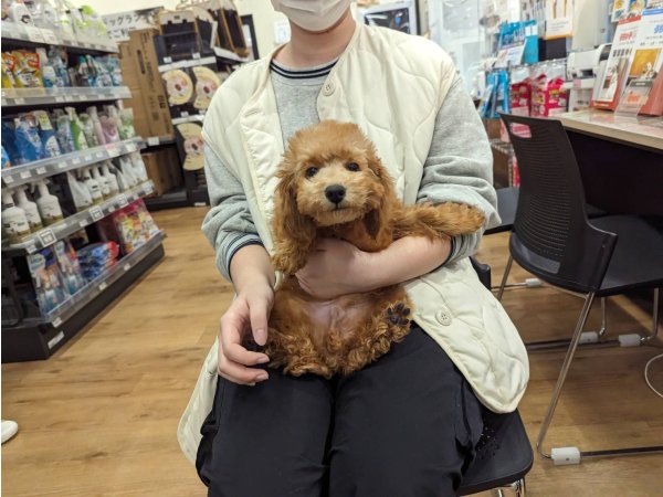 写真