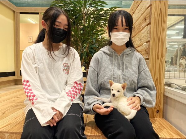 写真