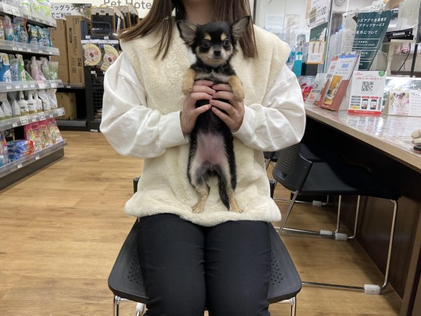 写真