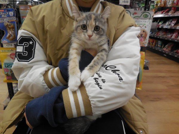 写真