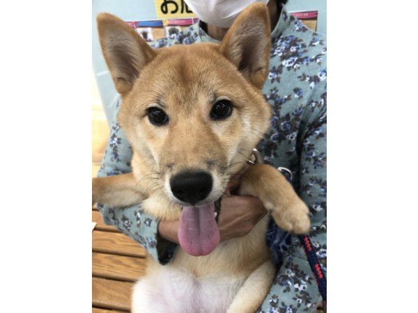 写真