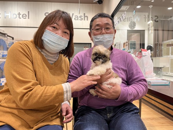 写真