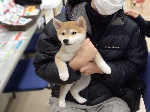 写真