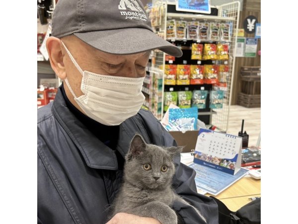 写真