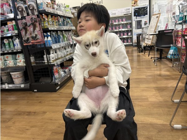 写真