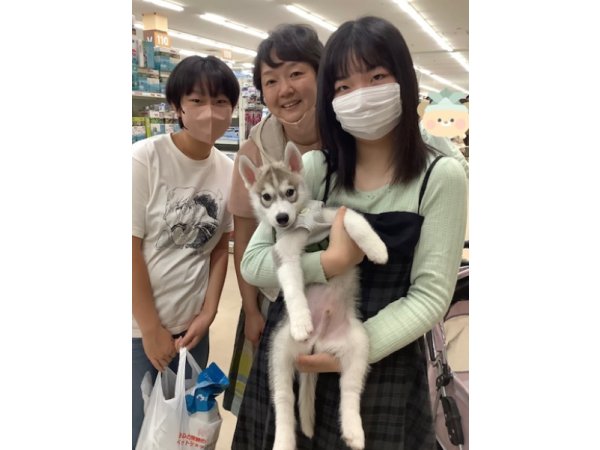 写真