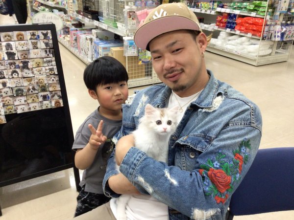 写真