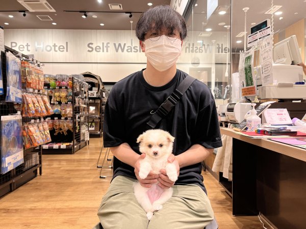 写真