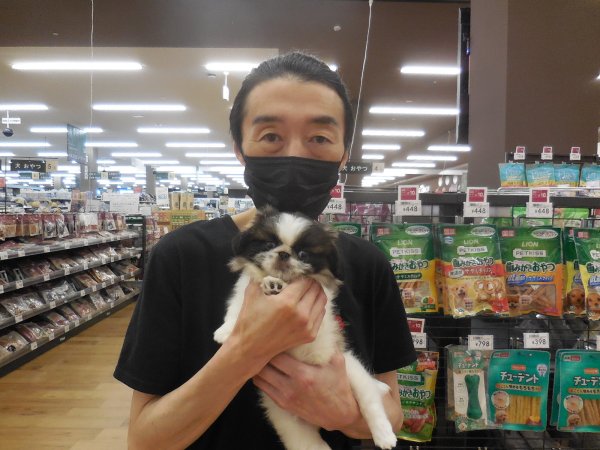 写真
