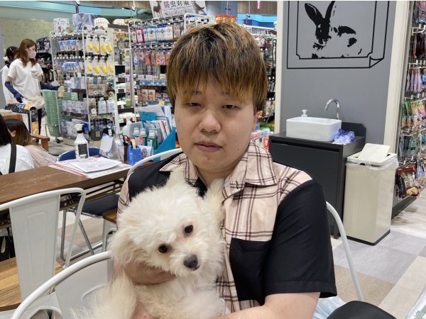 写真