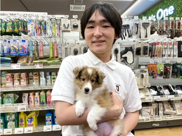 写真