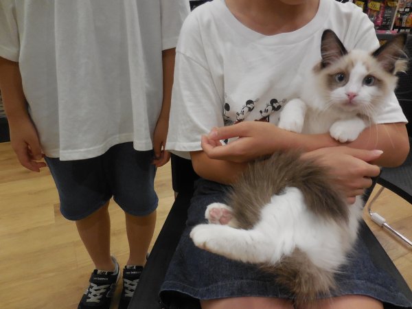 写真