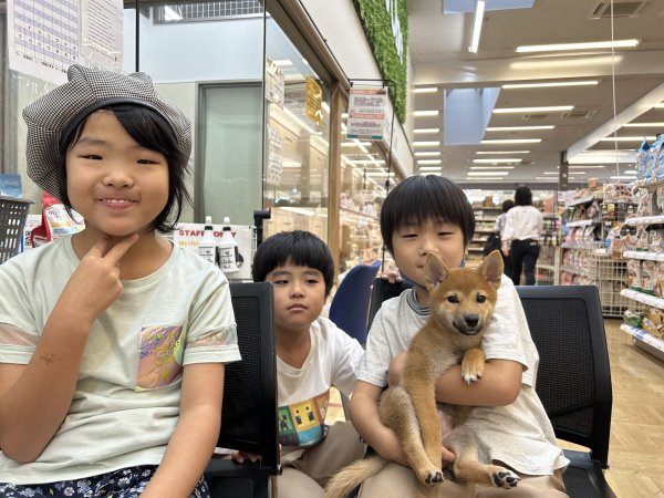 写真