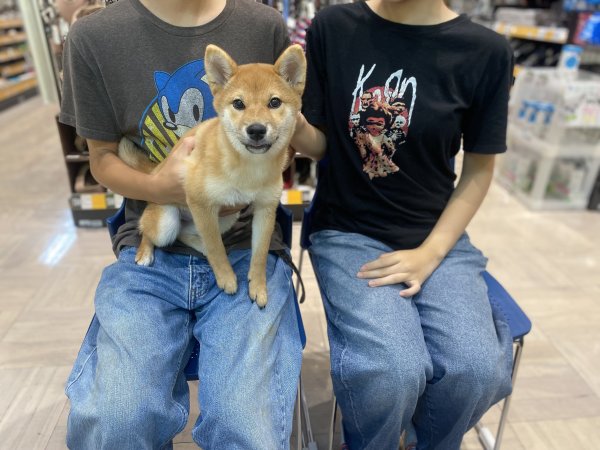 写真