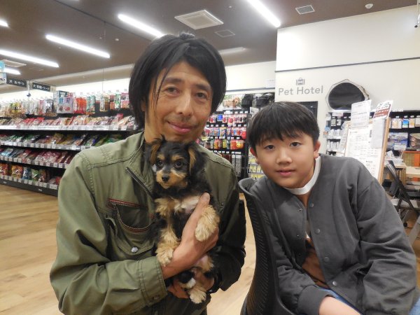 写真