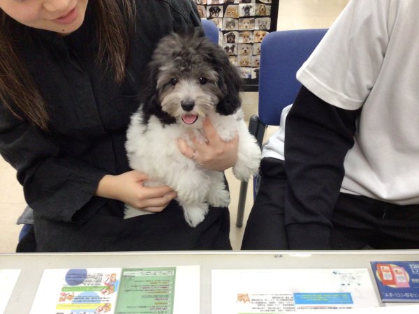 写真