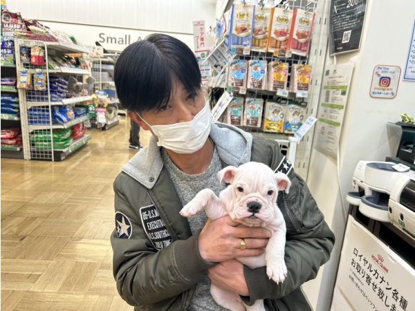 写真