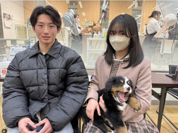 写真