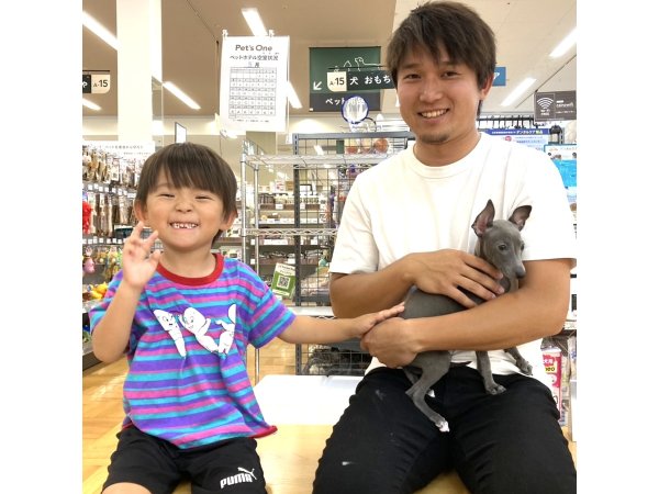 写真