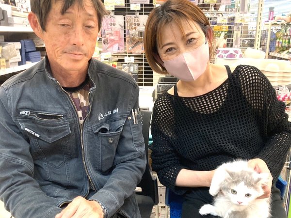 写真