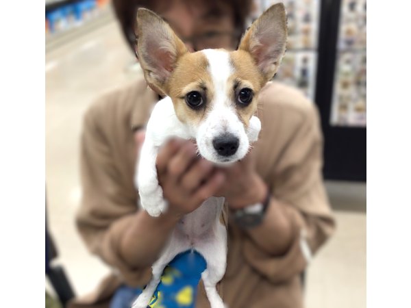 写真