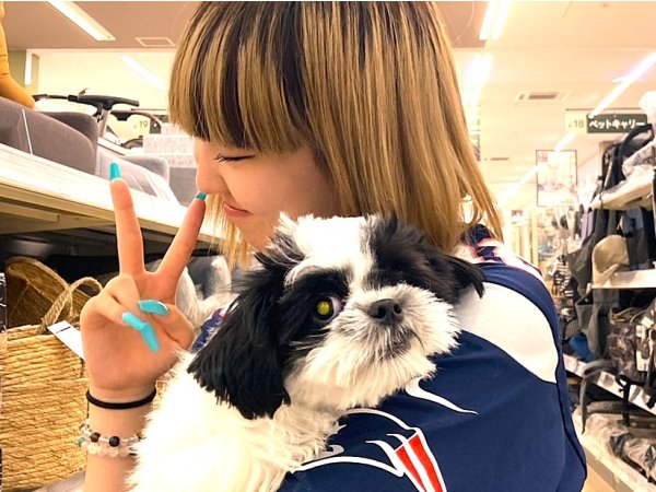 写真
