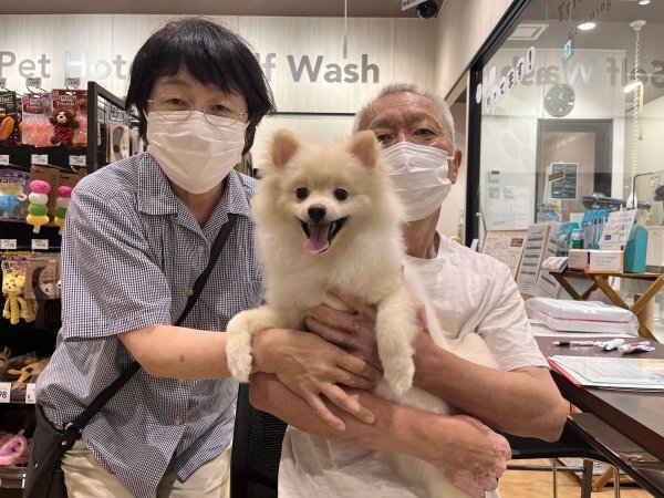 写真