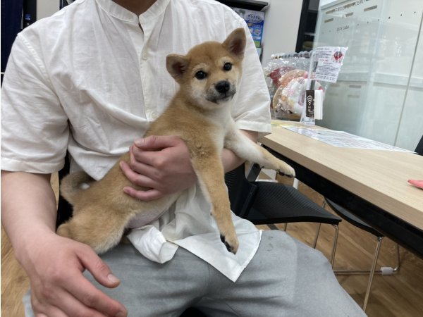 写真