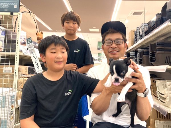 写真