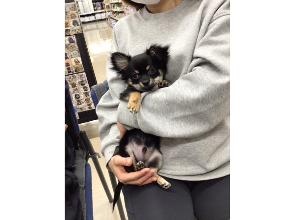 写真