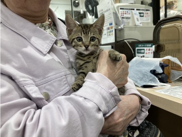 写真