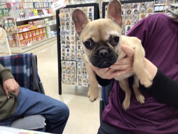 写真