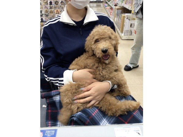 写真