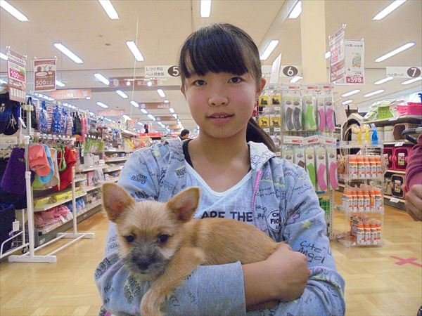 写真