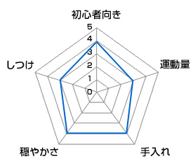 チャート